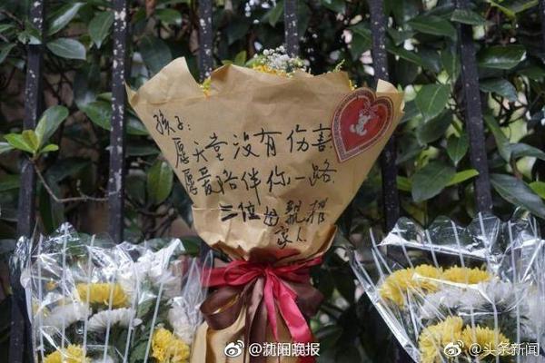 弗格森：罗马是一家伟大俱乐部，目标重返欧冠&希望自己能多进球
